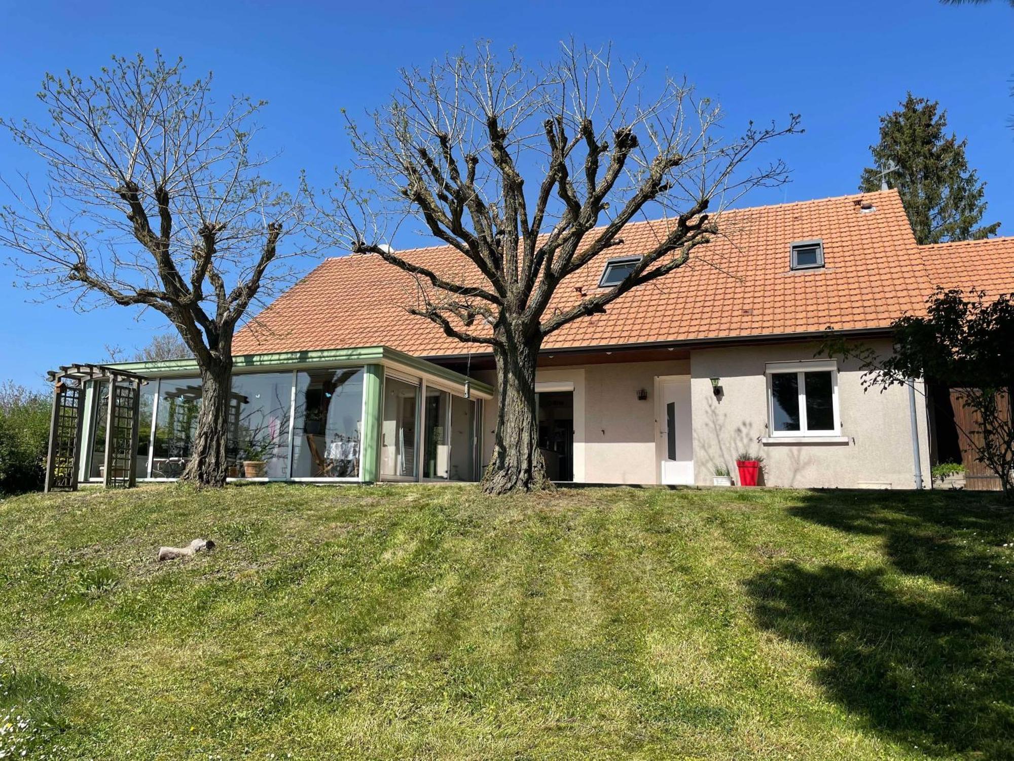 Des Roux Et Des Pious Suite De 35 A 60 M2 Et 3 Chambres Pour Groupe De 2 A 6 Personnes Civray-de-Touraine Eksteriør billede